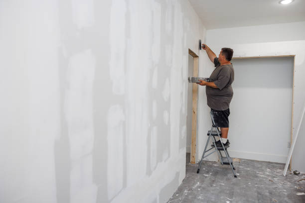 Professional Mold Removal in Natalbany, LA